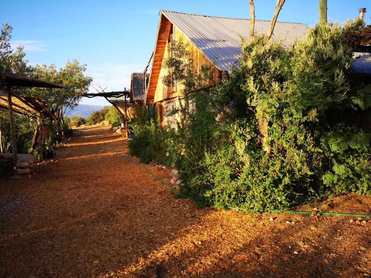 Amber Lagoon Backpackers Lodge Vleirivier Ngoại thất bức ảnh