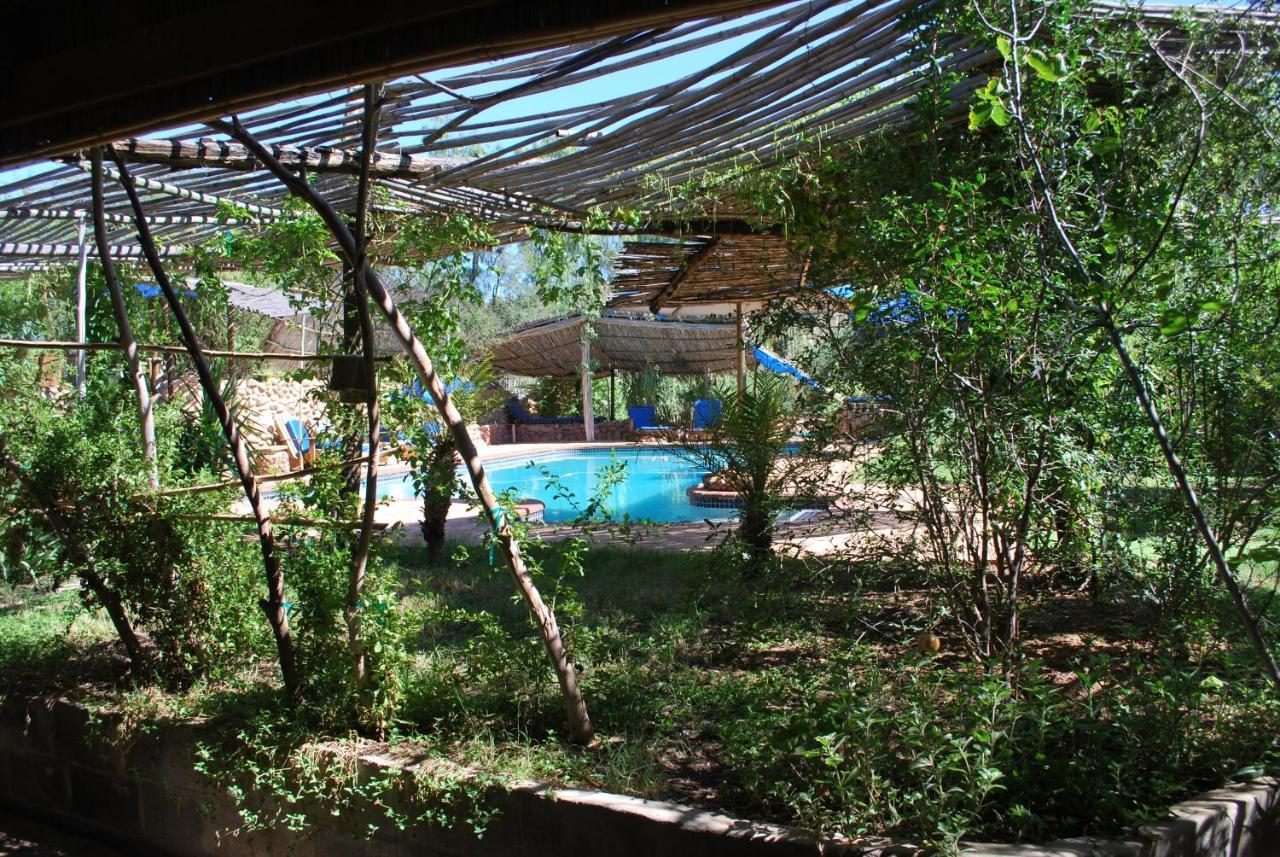 Amber Lagoon Backpackers Lodge Vleirivier Ngoại thất bức ảnh