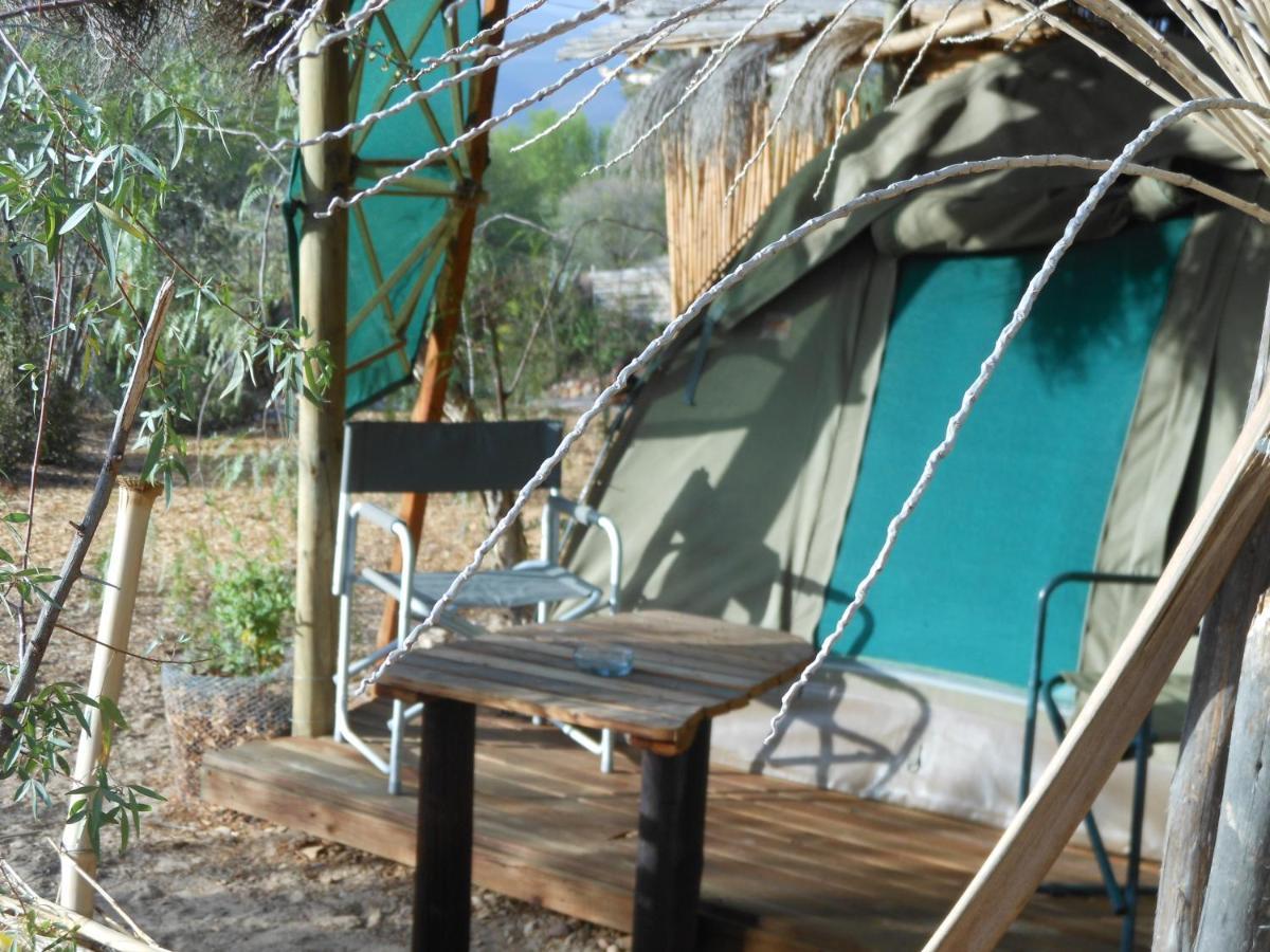 Amber Lagoon Backpackers Lodge Vleirivier Ngoại thất bức ảnh