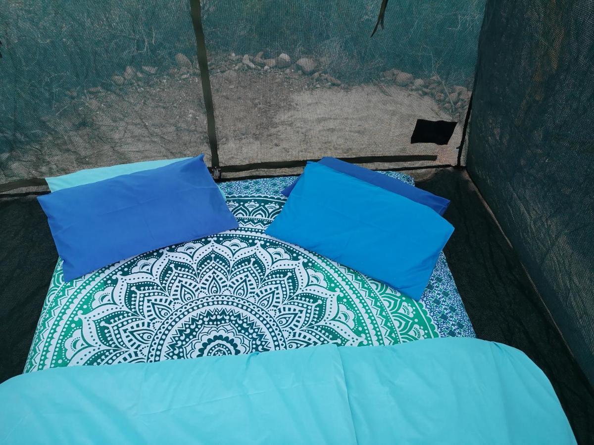 Amber Lagoon Backpackers Lodge Vleirivier Ngoại thất bức ảnh