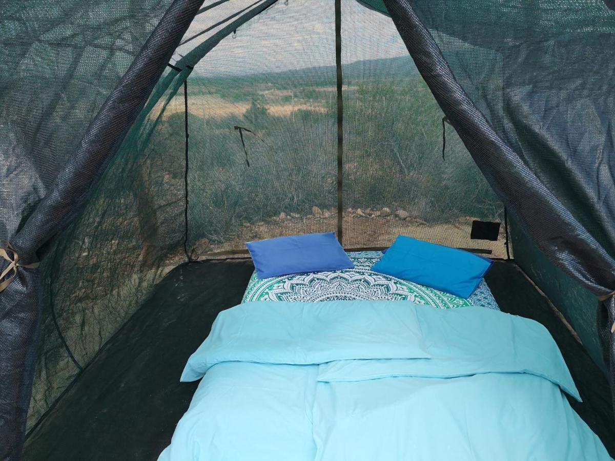 Amber Lagoon Backpackers Lodge Vleirivier Ngoại thất bức ảnh