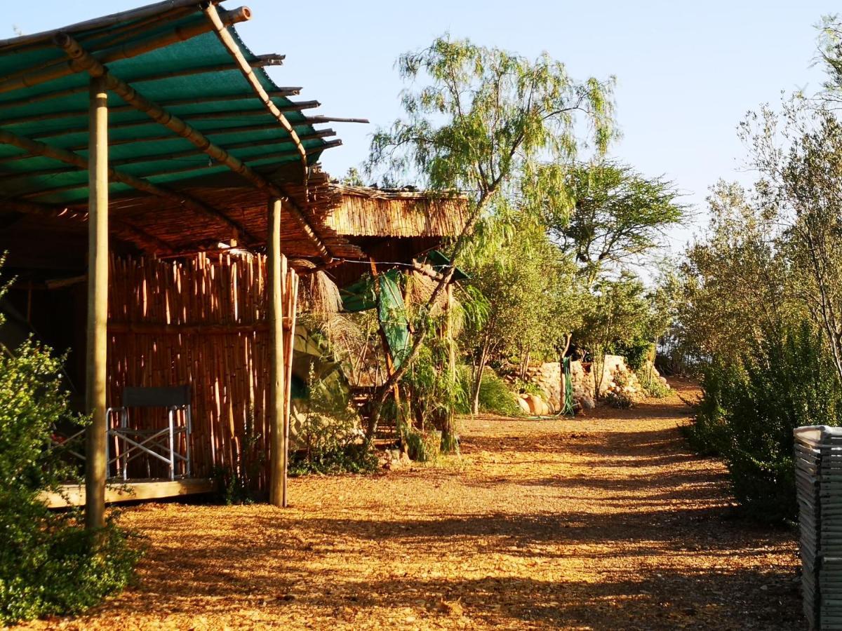Amber Lagoon Backpackers Lodge Vleirivier Ngoại thất bức ảnh