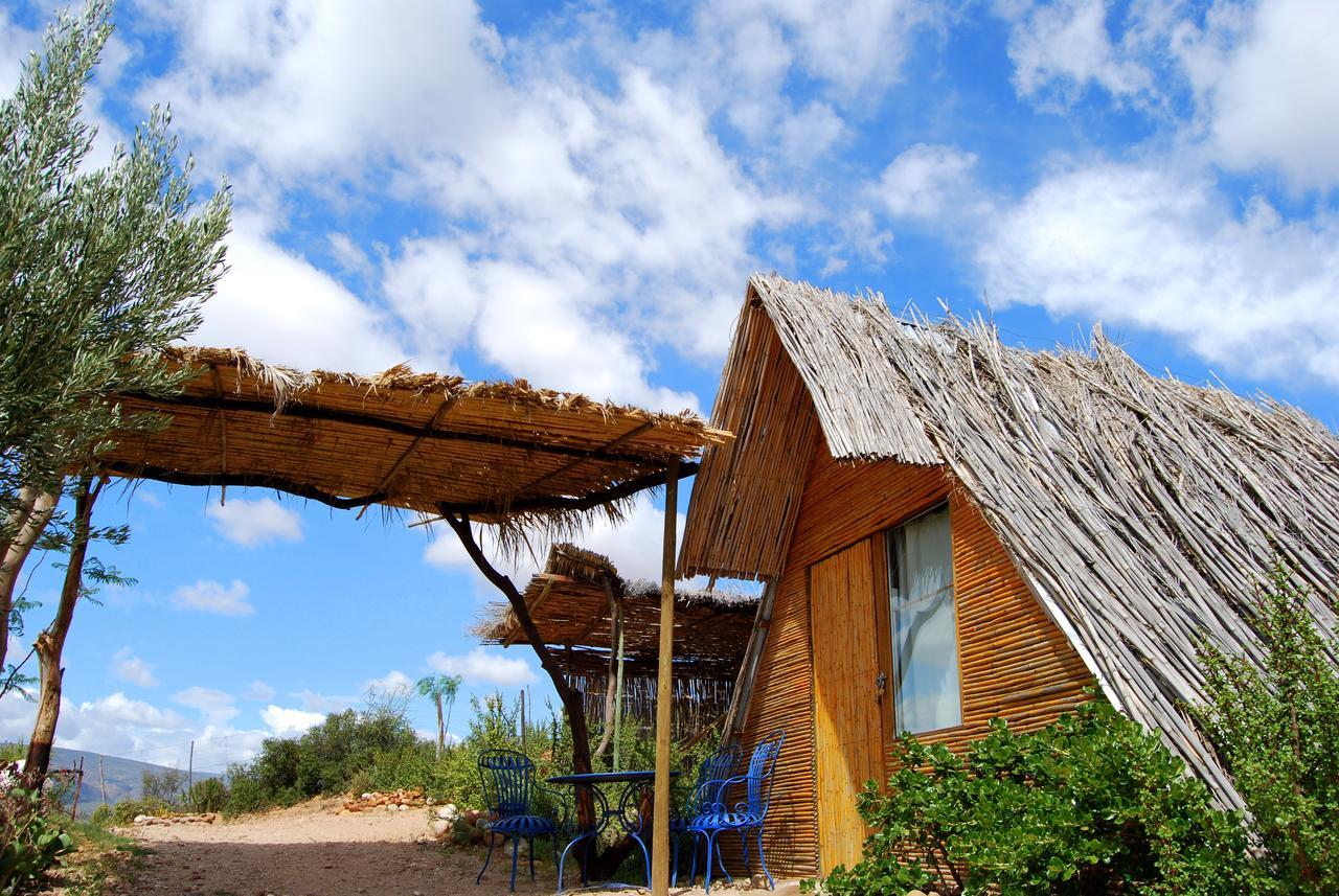 Amber Lagoon Backpackers Lodge Vleirivier Ngoại thất bức ảnh
